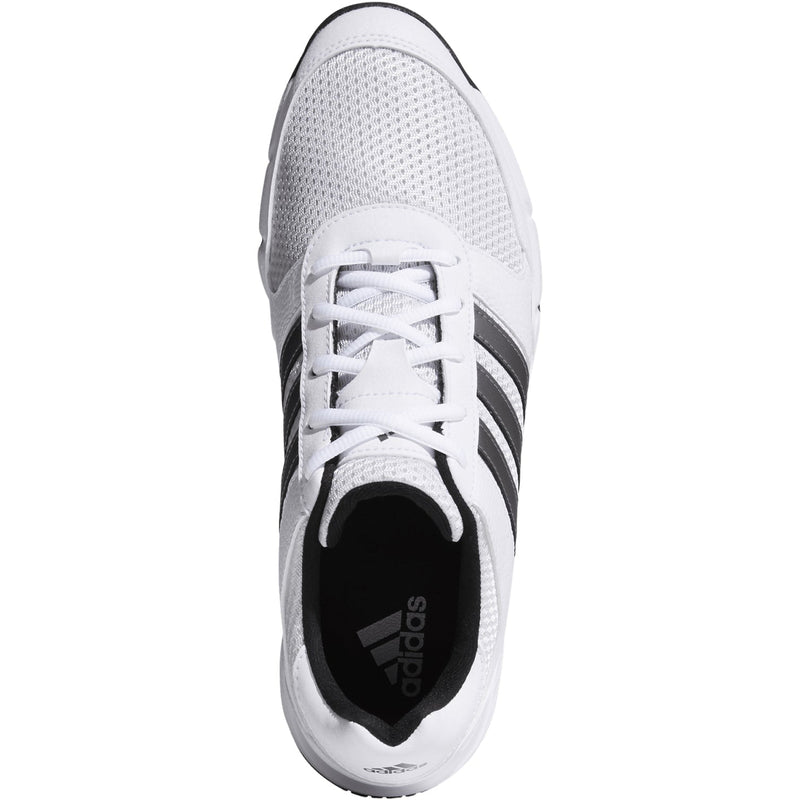 White/Silver