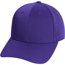 Team Collegiate Purple